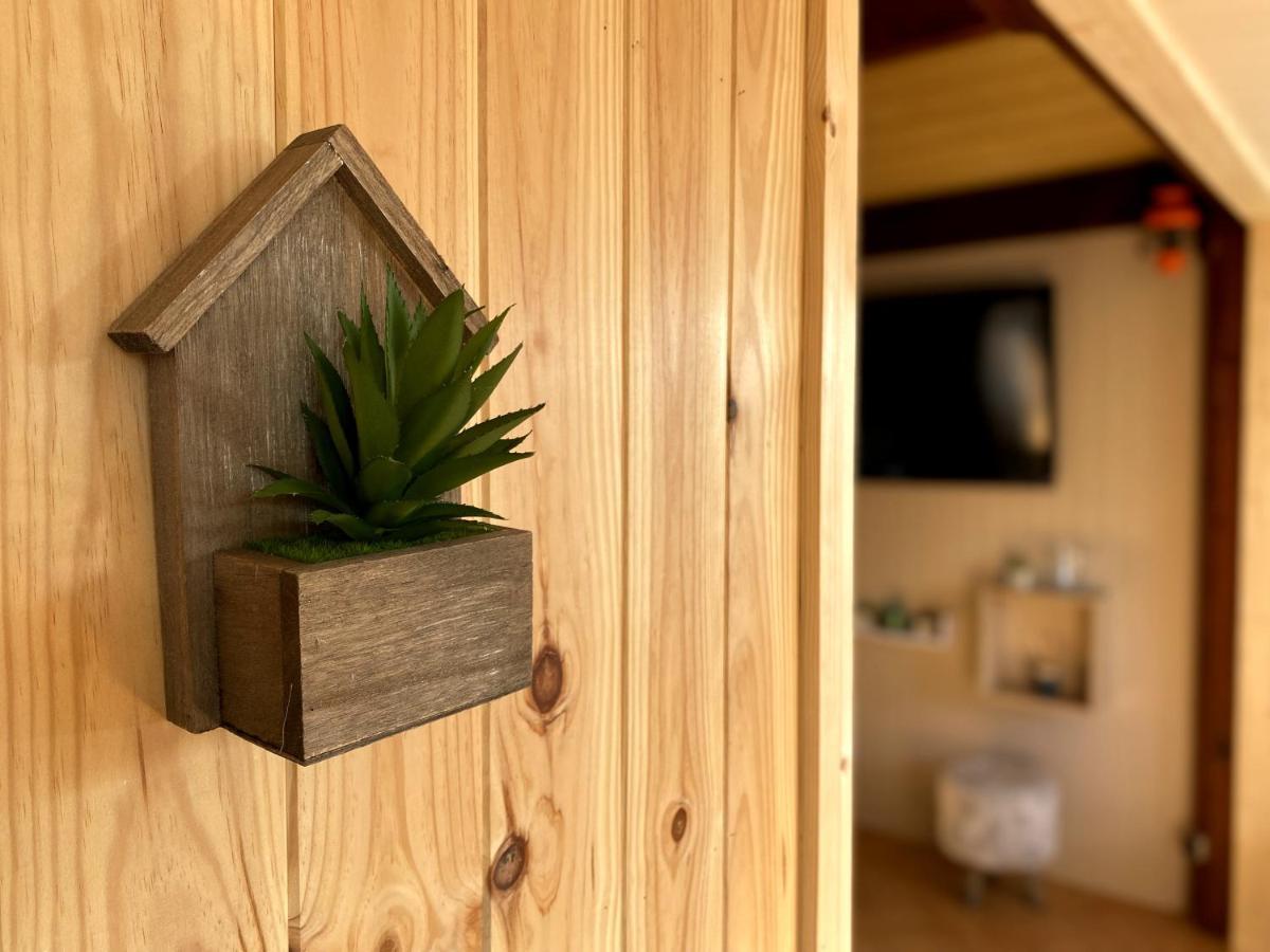 Chaleureux Chalet En Bord De Mer 메르빌프랑세빌플라쥐 외부 사진